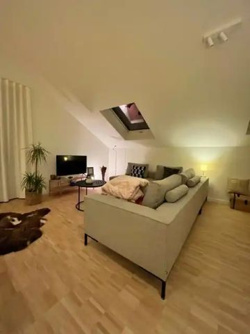 TE HUUR moderne penthouse met ruim terras in Olsene - Foto 2