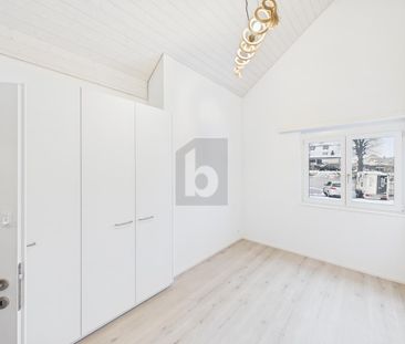 LIGHT-FLOODED, MODERN, PET-FRIENDLY - Photo 1