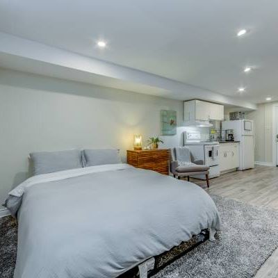 High Park, Renovated, Fully Furnished Studio - Photo 3