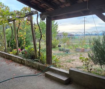 2 Zimmer, 45 m² - Photo 3