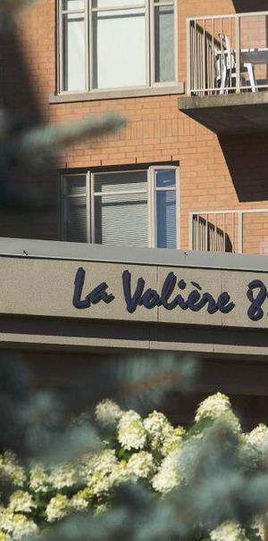 Penthouse luxueux - 4 1/2 - Ste-Foy-immeuble de prestige - août - Photo 1