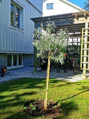 Jaktgatan, Göteborg - Photo 3