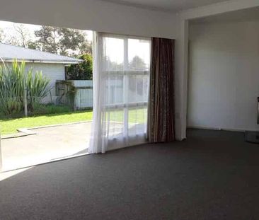 Birkenhead Crescent, Flaxmere - Photo 3