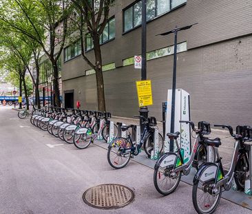 Avenue de l'Hôtel-de-Ville - Photo 3