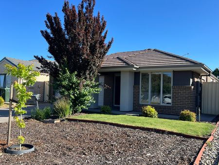 34 Wyatt Road, Direk SA 5110 - House For Rent | Domain - Photo 4