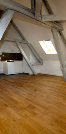 Location Appartement 1 pièce 30m² - Photo 1