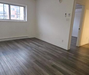 1 CH - 1 SDB - Montréal - $1,345 /mo - Photo 4