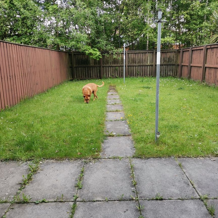 Room in a Shared House, Darncombe Close, M16 - Photo 1