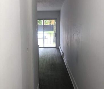 Studio - Québec - $795 /mo - Photo 1