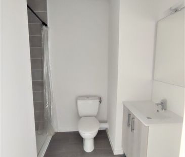 Location Appartement 1 pièce 19m² AUZEVILLE TOLOSANE 31320 - Photo 3