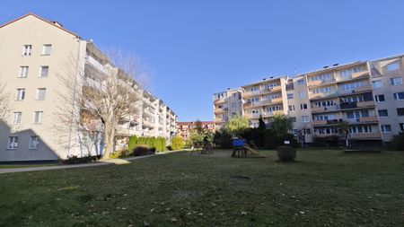 mieszkanie na wynajem Szczecin Kijewo - Photo 2