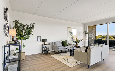 Schaub Parken 8 st. – Løvbjerg - Photo 2