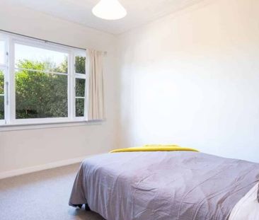 Balaclava Delight - Photo 5