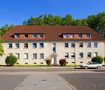 Demnächst frei! 1-Zimmer-Wohnung in Gelsenkirchen Buer - Foto 6