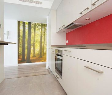 Piso de alquiler en Plaza Paseito Ramiro, 12, Casco Antiguo - Sta. ... - Photo 1