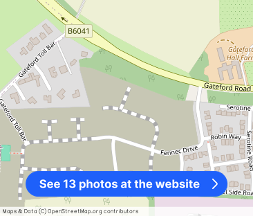 Swift End Close, Worksop S81 - Photo 1