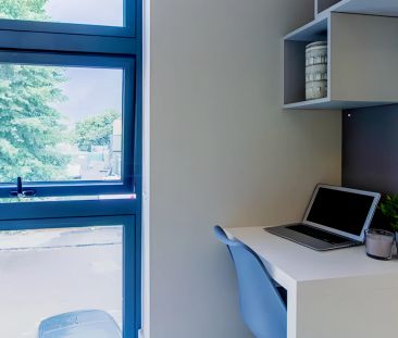 Bronze Studio (Singled Bed) - Photo 3