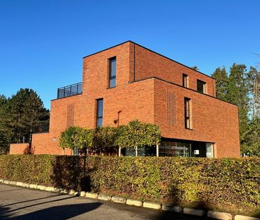 Duplex te huur - Photo 4