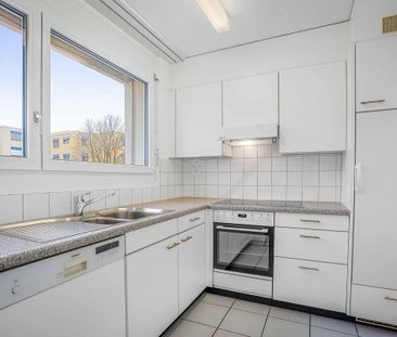 bright apartment in a quiet location - Photo 2