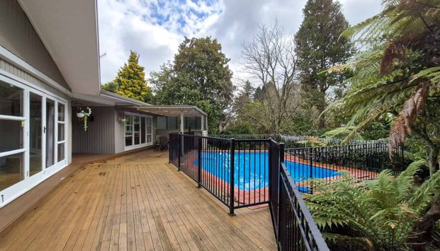 Springfield Stunner - Photo 1