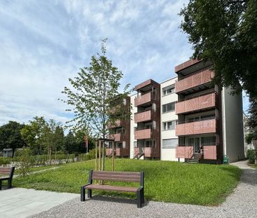 moderne 2.5-Zimmerwohnung zum Vermieten - Photo 6