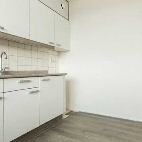 Cruquiuslaan 0ong, 2332 Leiden, Nederland - Foto 1