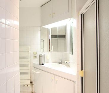 Location Appartement 1 pièce 19m² GRENOBLE 38000 - Photo 4