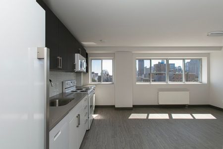 Appartement à louer - Montréal (Le Plateau-Mont-Royal) (Le Plateau-Mont-Royal) Appartement à louer - Montréal (Le Plateau-Mont-Royal) (Le Plateau-Mont-Royal) - Photo 5