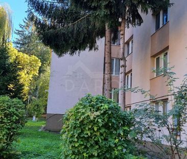 Inchiriere apartament 3 camere 7 noiembrie.For rent 2 bedrooms,1 livin - Fotografie 2