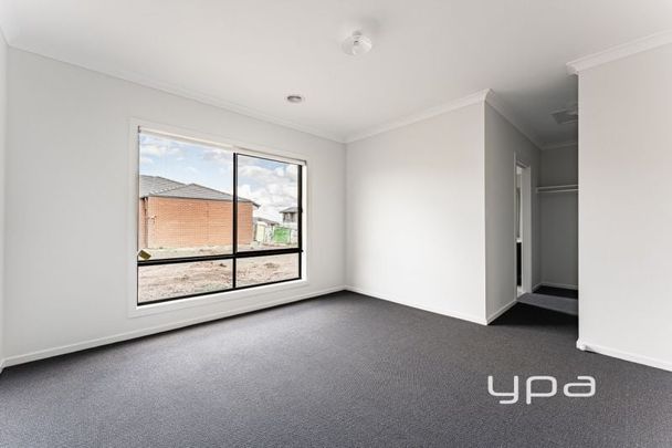 The Perfect Home! - Photo 1
