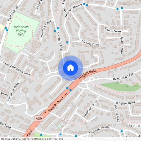 Tremorvah Court, TR1, Truro