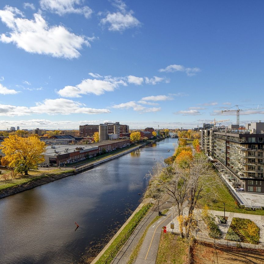 Condo for rent, Montréal (Le Sud-Ouest) - Photo 1