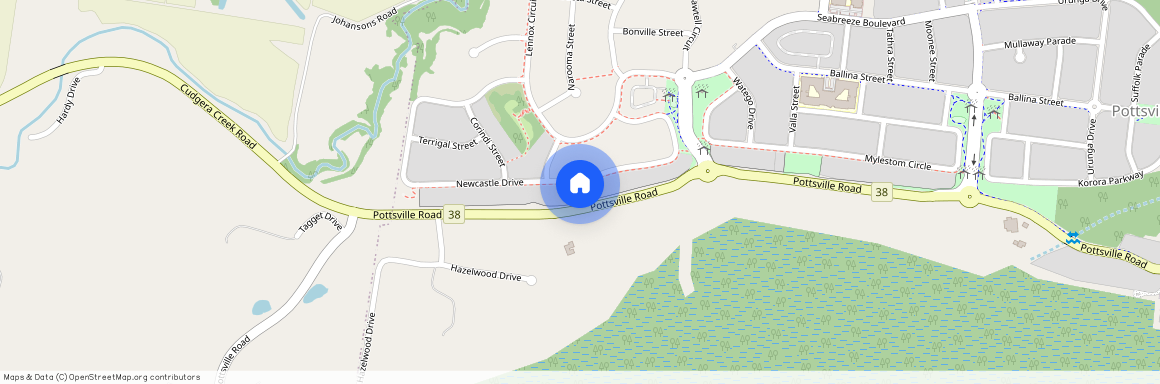 39 Newcastle Drive, Sydney, New South Wales 2029