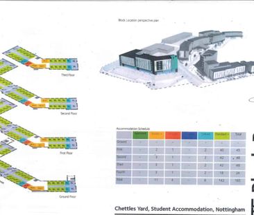Studio Bronze - Photo 6
