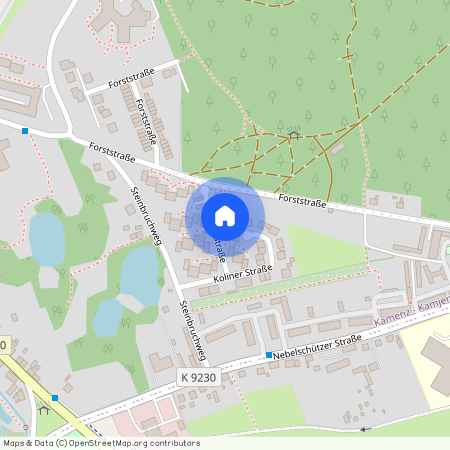 Alzeyer Str. 1, 01917 Sachsen - Kamenz