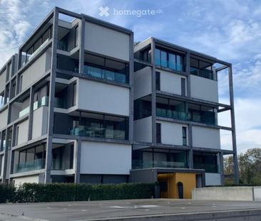 2.5 Zimmer, 50 m² - Photo 4