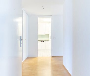 Living in the center - Photo 6