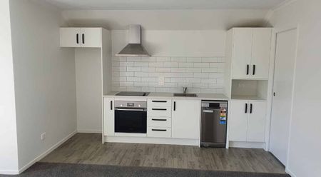 Brand New Two Bedroom Unit - Photo 3