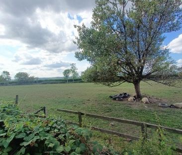 Crich View, Newton DE55, Property for rent - Photo 4