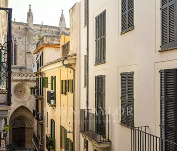 Palma de Mallorca, Balearic Islands 07001 - Photo 4