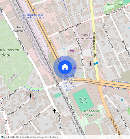 Conrad-von-Hötzendorf-Straße **, 8010 Graz