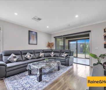 Brand New Four Bedroom Family Home - Photo 1