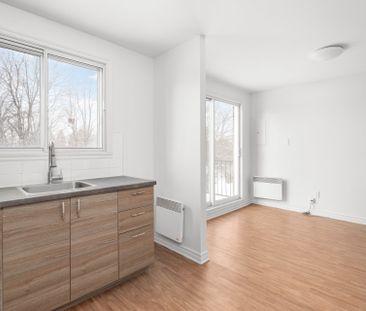 927 Rue Dubuisson, #5 - Photo 2