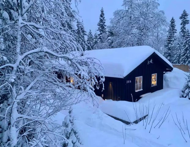 Gubbmyrvägen, Sälen - Foto 1