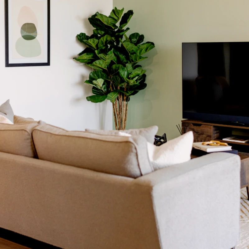 Studio (Type A) - Photo 1