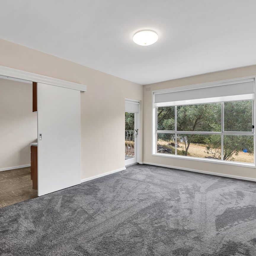 Freshly Updated & Perfectly Located! - Photo 1