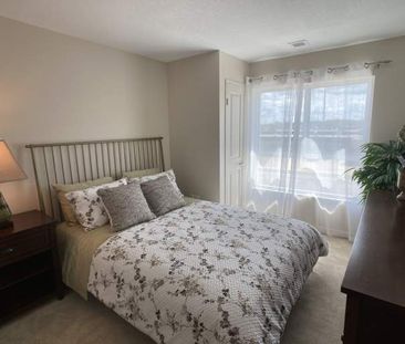 Newport Village - Photo 3