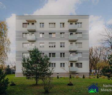 Sosnowiec - Фото 2