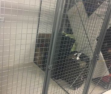 For Lease - 68 Merton Street Unit# 706, Toronto, Ontario - Photo 5