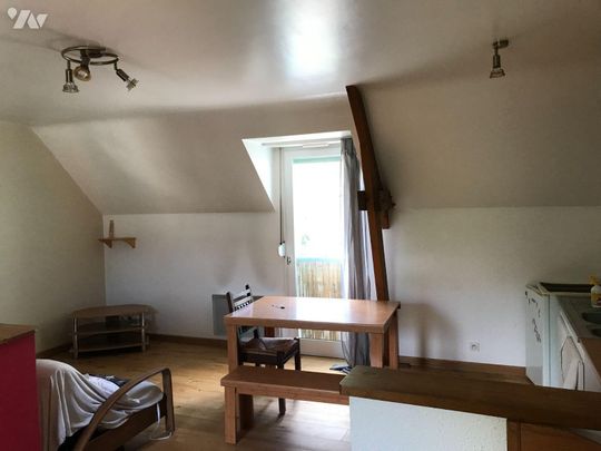 PACE, rue du Docteur Léon, Type 1 MEUBLE, 1er étage, 31m², comprenant: entrée avec placard, piè... - Photo 1